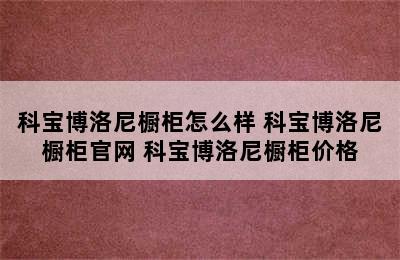 科宝博洛尼橱柜怎么样 科宝博洛尼橱柜官网 科宝博洛尼橱柜价格